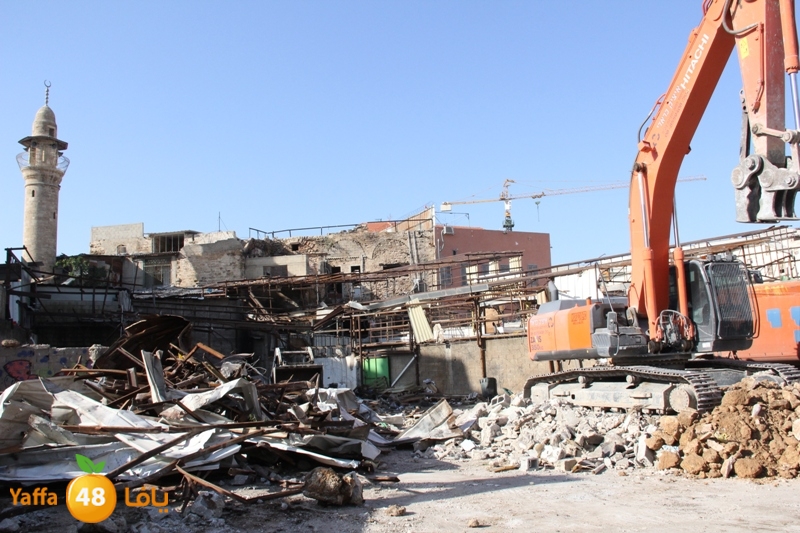 seksik hadem 1220 (7).JPG